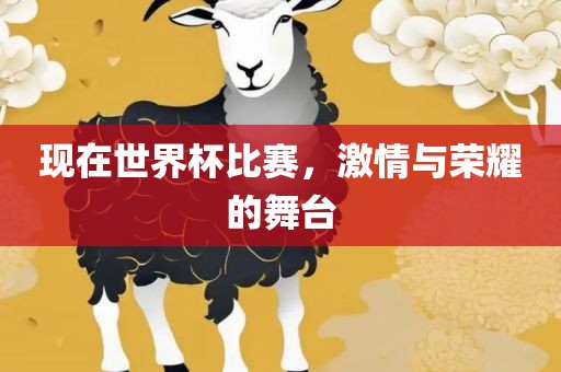 现在世界杯比赛，激情与荣耀的舞台