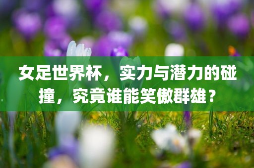 女足世界杯，实力与潜力的碰撞，究竟谁能笑傲群雄？