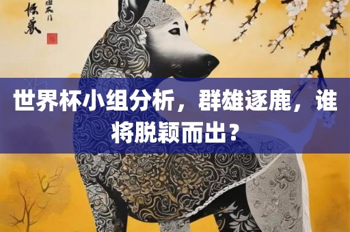 世界杯小组分析，群雄逐鹿，谁将脱颖而出？