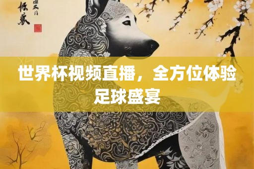 世界杯视频直播，全方位体验足球盛宴