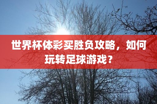 世界杯体彩买胜负攻略，如何玩转足球游戏？