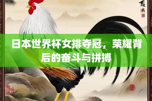 日本世界杯女排夺冠，荣耀背后的奋斗与拼搏