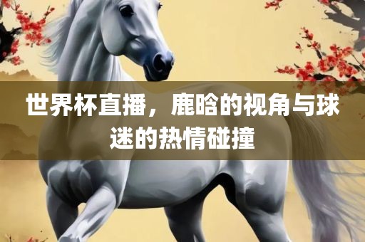 世界杯直播，鹿晗的视角与球迷的热情碰撞