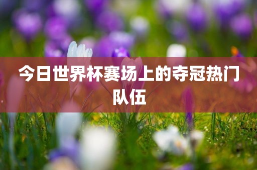 今日世界杯赛场上的夺冠热门队伍