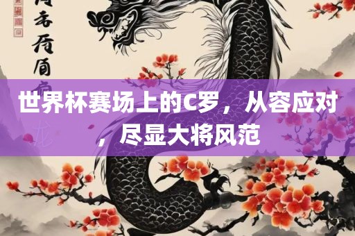世界杯赛场上的C罗，从容应对，尽显大将风范
