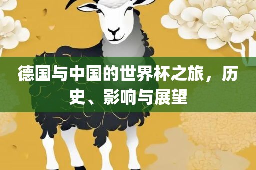 德国与中国的世界杯之旅，历史、影响与展望