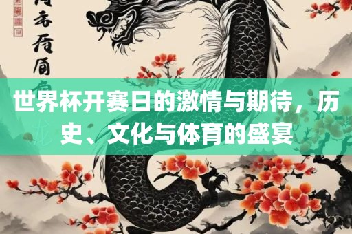 世界杯开赛日的激情与期待，历史、文化与体育的盛宴
