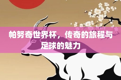 帕努奇世界杯，传奇的旅程与足球的魅力