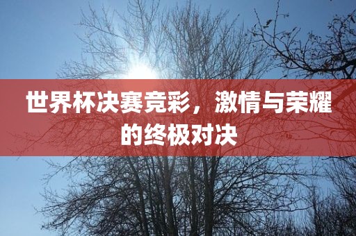 世界杯决赛竞彩，激情与荣耀的终极对决