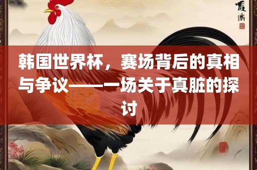 韩国世界杯，赛场背后的真相与争议——一场关于真脏的探讨