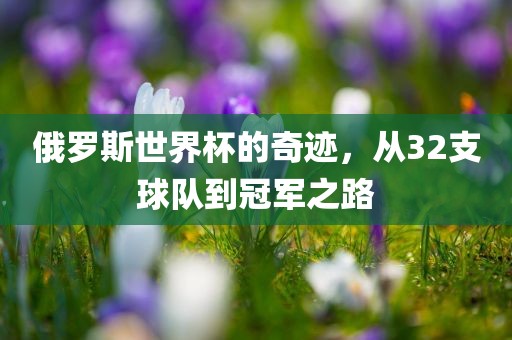 俄罗斯世界杯的奇迹，从32支球队到冠军之路