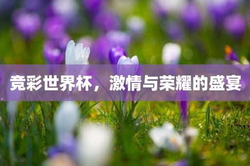 竞彩世界杯，激情与荣耀的盛宴