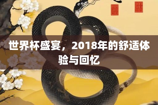 世界杯盛宴，2018年的舒适体验与回忆