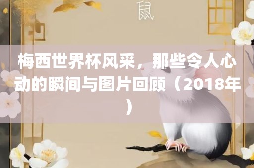 梅西世界杯风采，那些令人心动的瞬间与图片回顾（2018年）