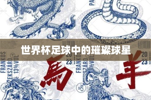 世界杯足球中的璀璨球星