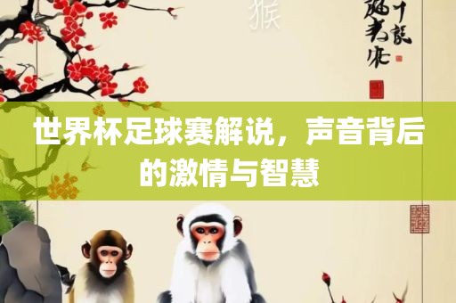 世界杯足球赛解说，声音背后的激情与智慧