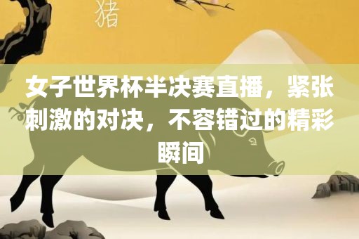 女子世界杯半决赛直播，紧张刺激的对决，不容错过的精彩瞬间