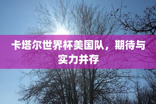 卡塔尔世界杯美国队，期待与实力并存