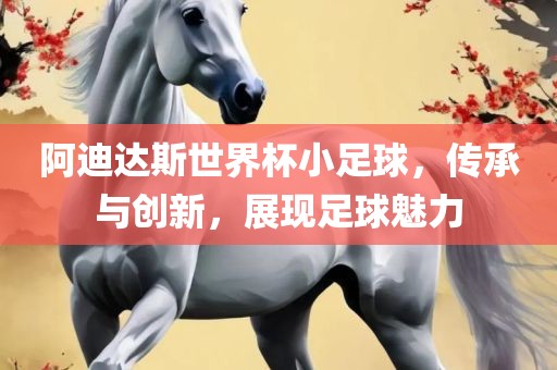 阿迪达斯世界杯小足球，传承与创新，展现足球魅力