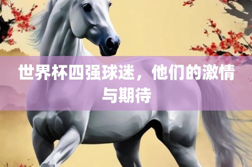 世界杯四强球迷，他们的激情与期待