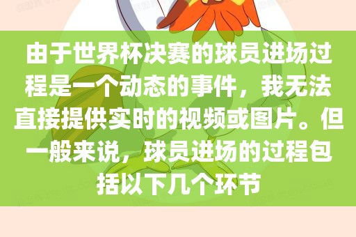 由于世界杯决赛的球员进场过程是一个动态的事件，我无法直接提供实时的视频或图片。但一般来说，球员进场的过程包括以下几个环节