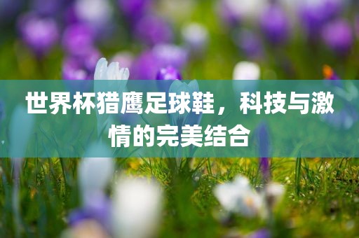 世界杯猎鹰足球鞋，科技与激情的完美结合