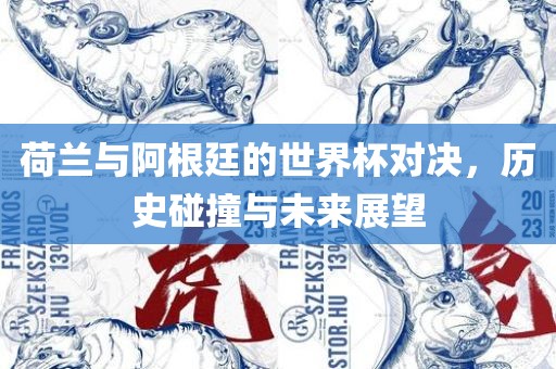 荷兰与阿根廷的世界杯对决，历史碰撞与未来展望