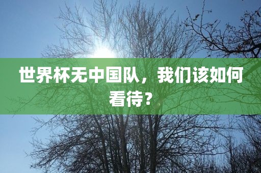 世界杯无中国队，我们该如何看待？
