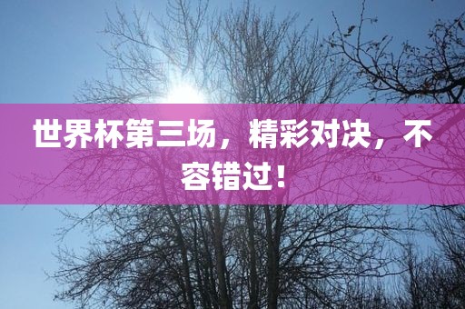 世界杯第三场，精彩对决，不容错过！