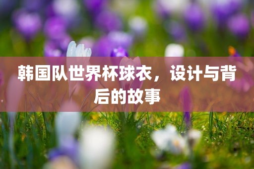韩国队世界杯球衣，设计与背后的故事