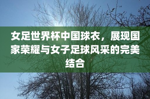 女足世界杯中国球衣，展现国家荣耀与女子足球风采的完美结合