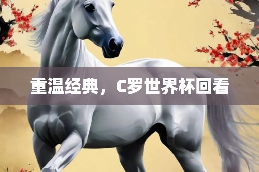 重温经典，C罗世界杯回看