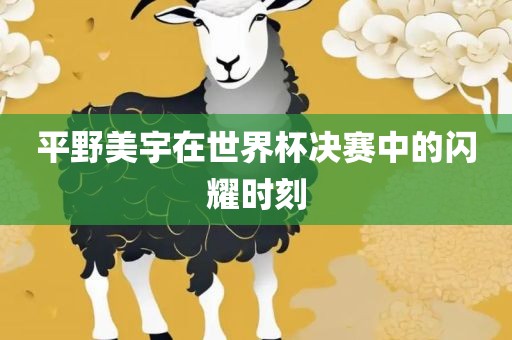 平野美宇在世界杯决赛中的闪耀时刻