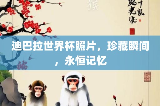 迪巴拉世界杯照片，珍藏瞬间，永恒记忆