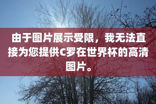 由于图片展示受限，我无法直接为您提供C罗在世界杯的高清图片。