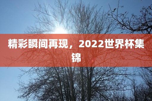 精彩瞬间再现，2022世界杯集锦