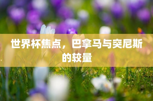 世界杯焦点，巴拿马与突尼斯的较量