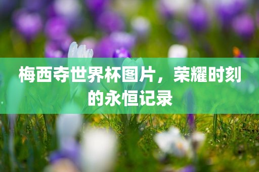 梅西夺世界杯图片，荣耀时刻的永恒记录
