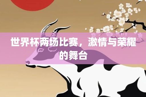 世界杯两场比赛，激情与荣耀的舞台