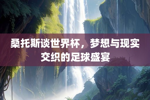 桑托斯谈世界杯，梦想与现实交织的足球盛宴