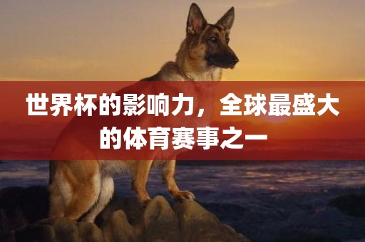 世界杯的影响力，全球最盛大的体育赛事之一
