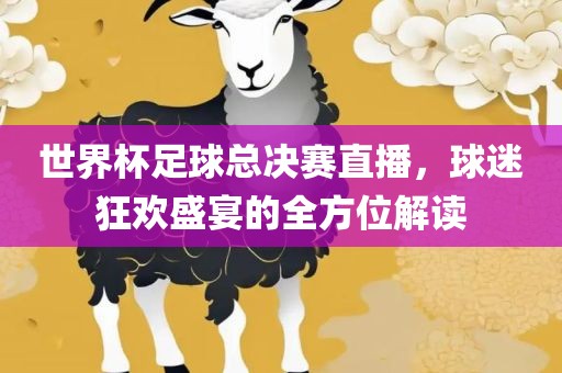 世界广州鸿业环保设备有限公司杯足球总决赛直播，球迷狂欢盛宴的全方位解读