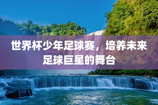 世界杯少年足球赛，培养未来足球巨星的舞台