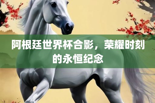 阿根廷世界杯合影，荣耀时刻的永恒纪念