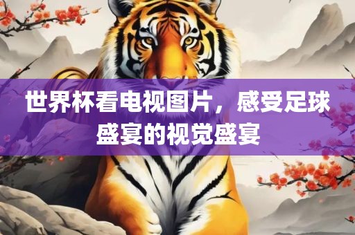 世界杯看电视图片，感受足球盛宴的视觉盛宴