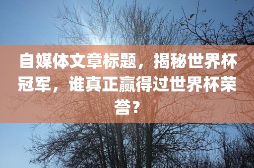自媒体文章标题，揭秘世界杯冠军，谁真正赢得过世界杯荣誉？