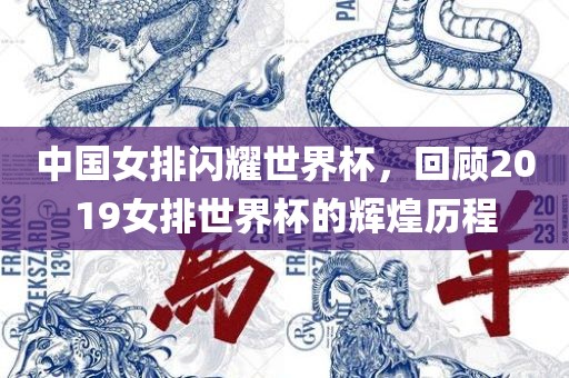 中国女排闪耀世界杯，回顾2019女排世界杯的辉煌历程