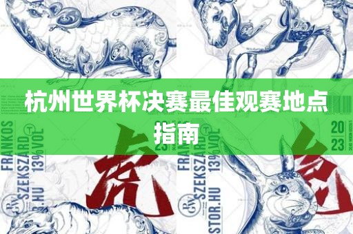 杭州世界杯决赛最佳观赛地点指南