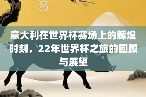 意大利在世界杯赛场上的辉煌时刻，22年世界杯之旅的回顾与展望