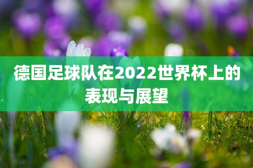 德国足球队在2022世界杯上的表现与展望